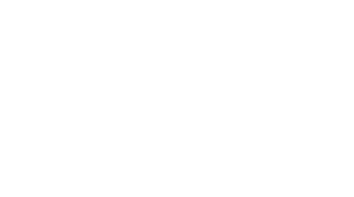 Coral 3D Concrete Printing